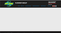 Desktop Screenshot of dryzoneinc.net